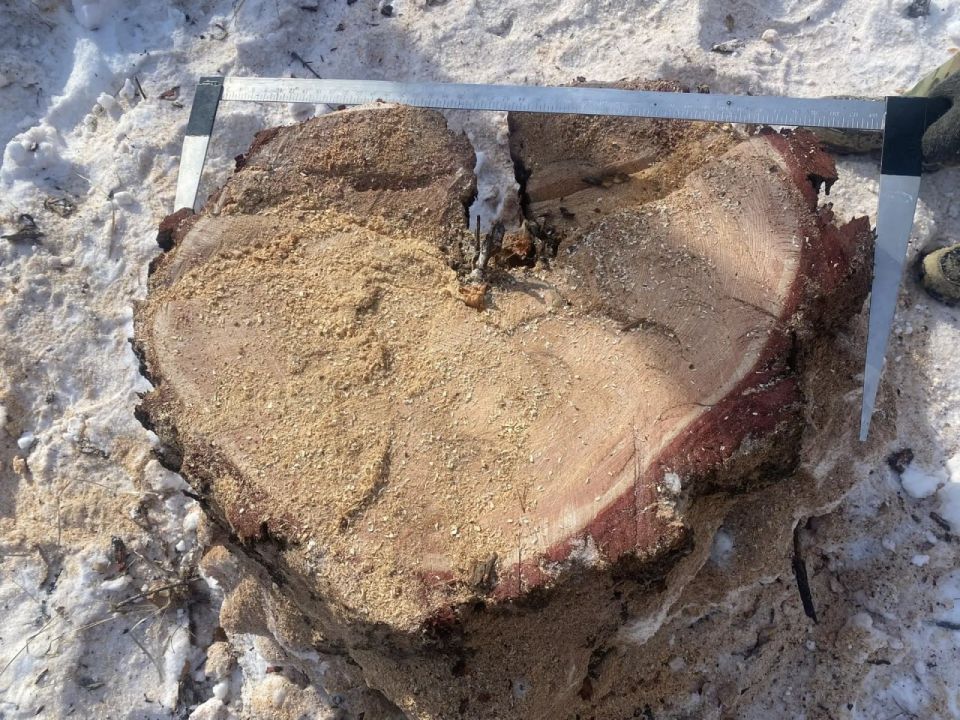 ����������� ��������� ���������� �������� ������������� ���������� �� ���������� ���� � ��������� ���� ������� ������������� ������