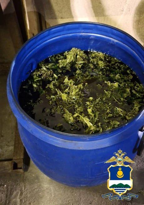 ������-������ �� ����-��� �������� �����������