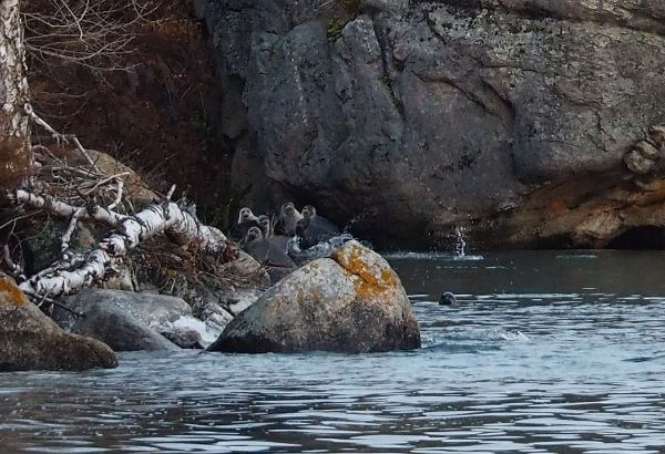 �� ����������� ���� ������� GPS-������