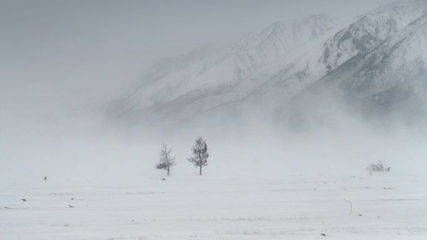 �� ������� ����������� ����� ��������