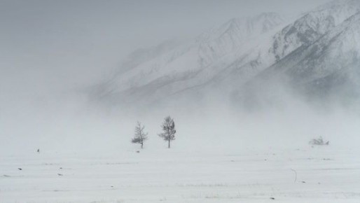 �� ������� ����������� ����� ��������