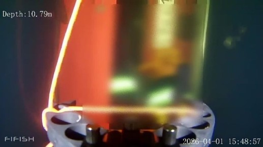 ���� ������� ���������� �� ��� ��������� �������������