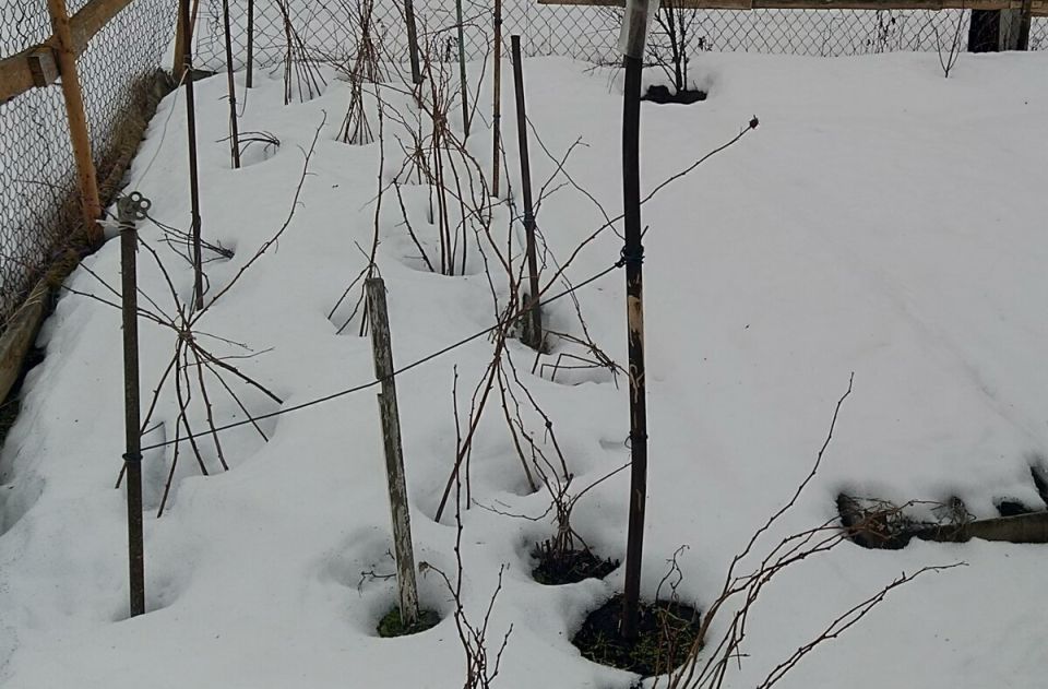 �������� ������ �� ������� �������: ��� ������ ����� ������ �����