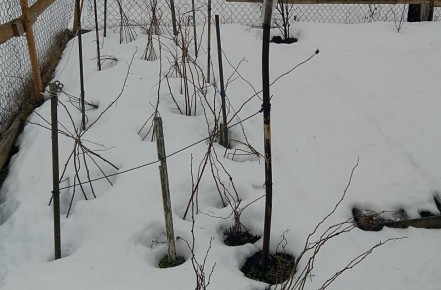 �������� ������ �� ������� �������: ��� ������ ����� ������ �����