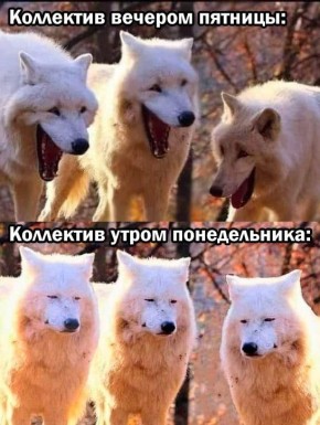 � ������ �����! ������������ �������� � ��� ���������� ����������)