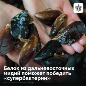 �������� ������� ������������� ���������� ����� ��������� ������ ����� �������� ������ � ����������� ����������