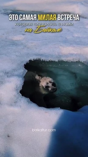 ��������� ������� � ������� ��������� �������