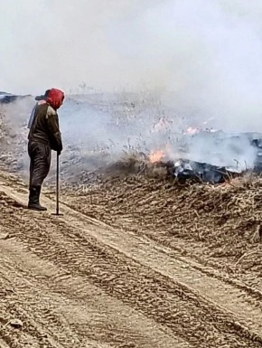 Лесной пожар потушили в Кяхтинском районе