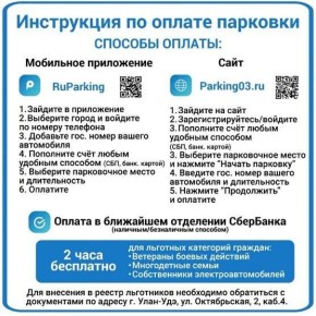 В Улан-Удэ за два дня выявили более 200 нарушителей правил платной парковки