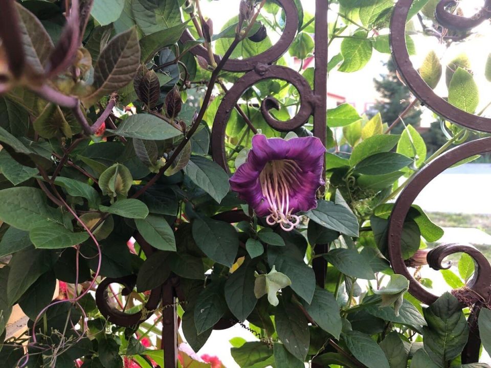 ����� ��������: ������� ��������� ����� �� �����