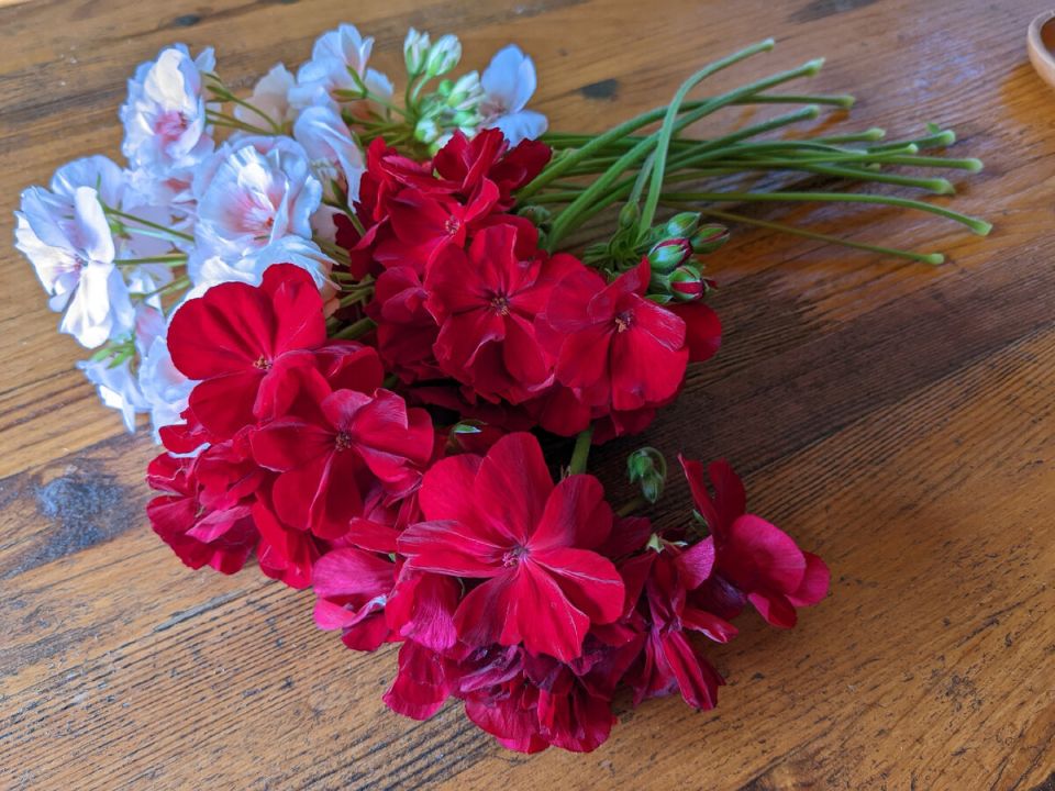 ��� ������ ���������� ������� ��� ��������� ������� ��������