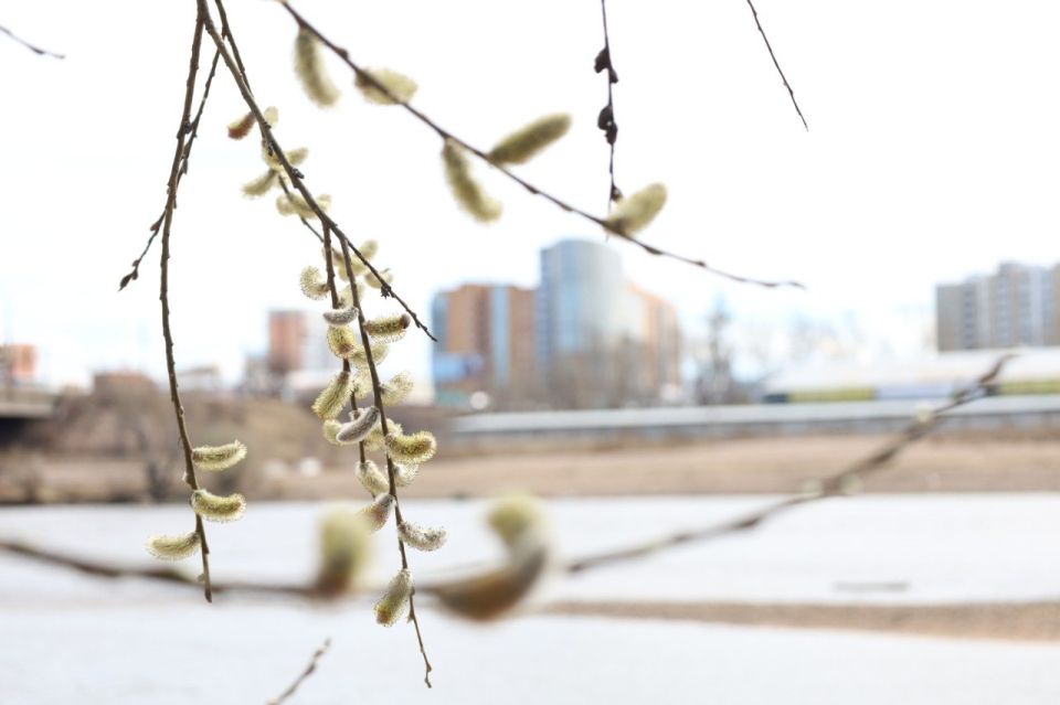 � ������� �������� ������� �����������: ��������, ������� � ����� ���������