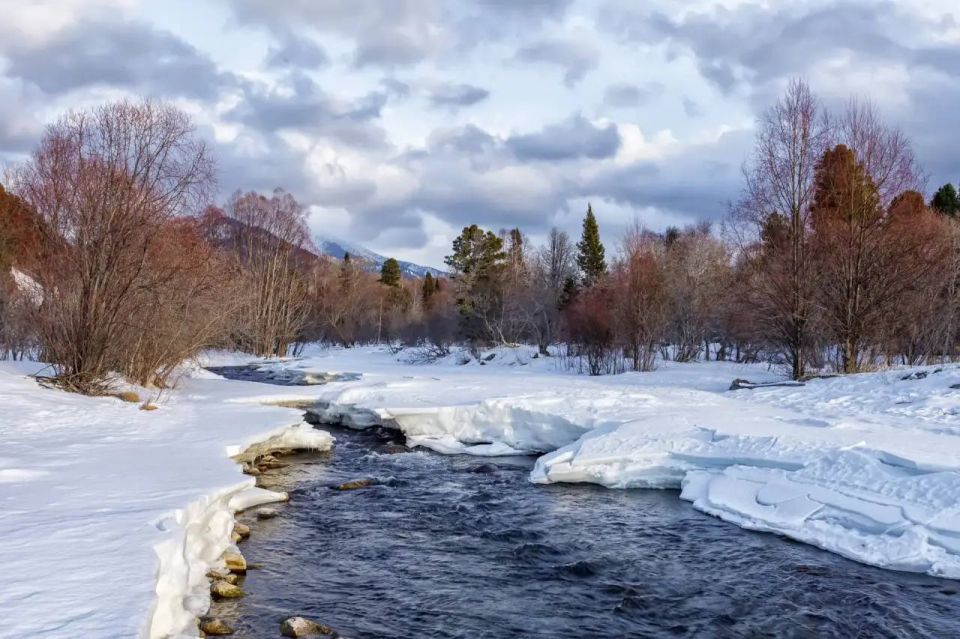 ������� � ����� ������ ����� �������