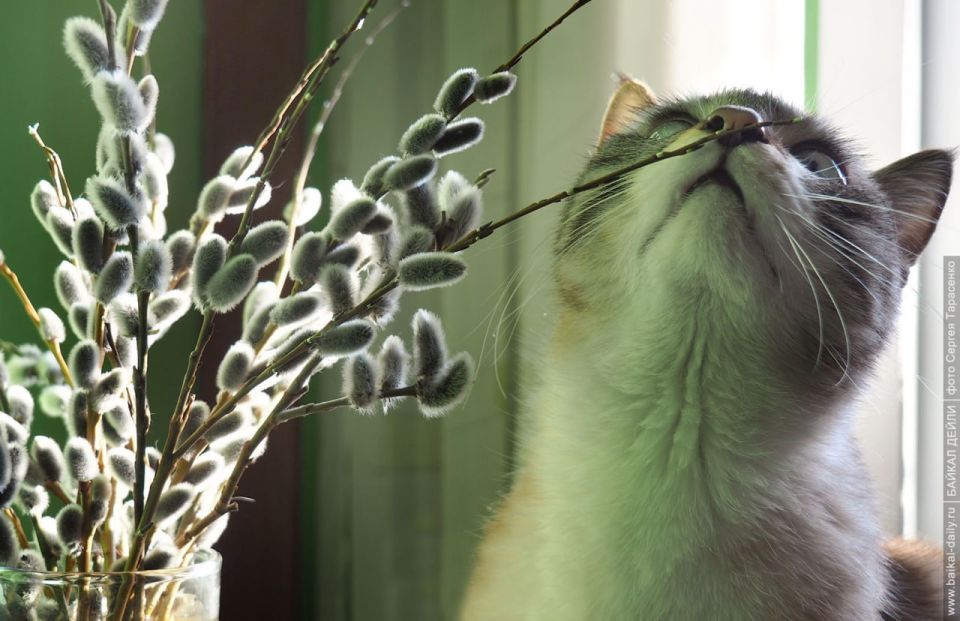 ������ ����!. � ������� ������� �������