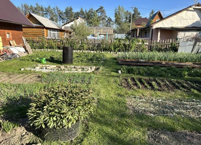 ��� �������� ���������� �� �����: ������ ��� ��������