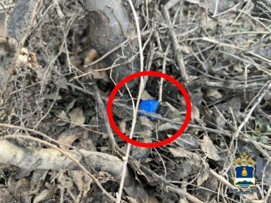 � ����-��� �������� ������������� � ����� ������� ������� ���������