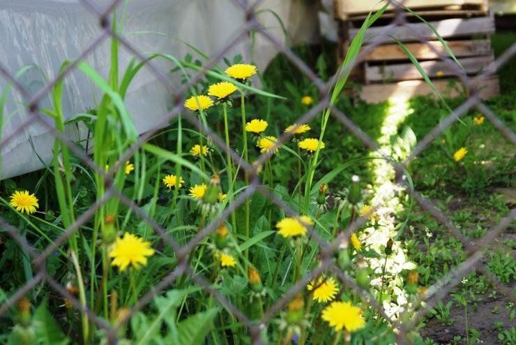 ��� ������� ����� ����� ���������� � ������ � ��������� � ����������� �� ����