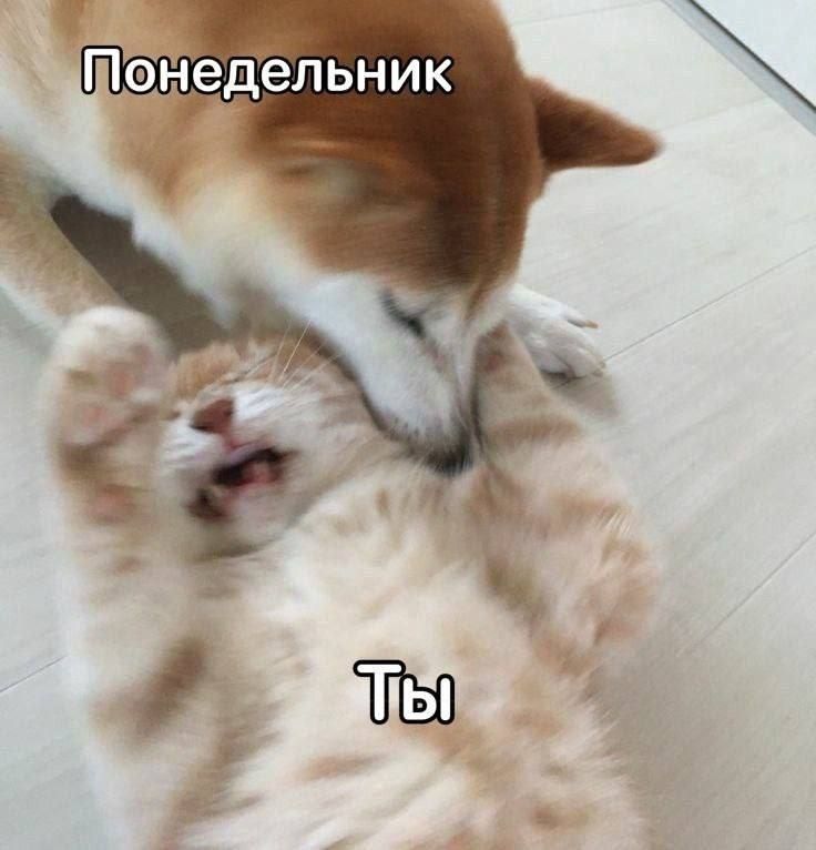 ������ ����! �������� ���������� �� ����� ������� ������)