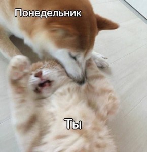 ������ ����! �������� ���������� �� ����� ������� ������)