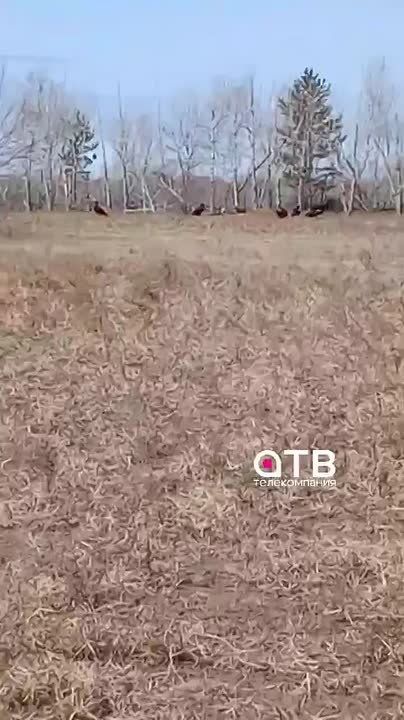 #�������� ����� ��������! �����-����� ���������� ������