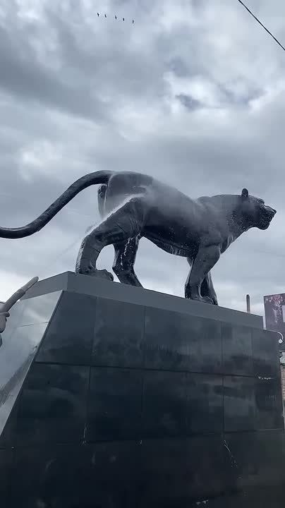 � ����-��� ���� ��������� ����� ����