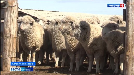 ���������� �������� ���������� ���� ����������� ���� �������� � ����������