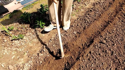 ����������� ������ ������� ���������: ������� �� ������� �����������