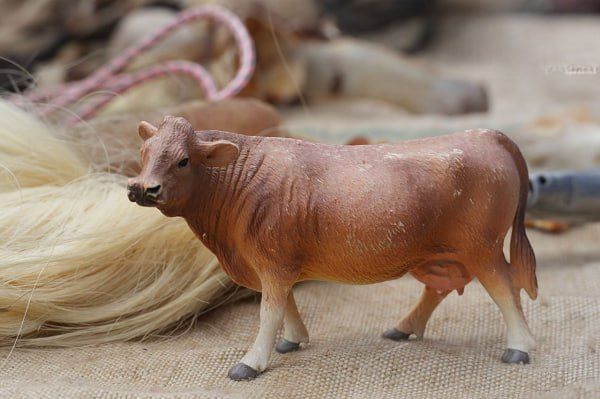 � ������� ��������� �������� ���� �����