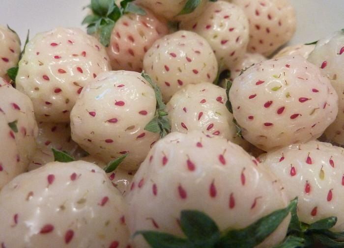 ������������ ��������� ���������: ������� ������� ������