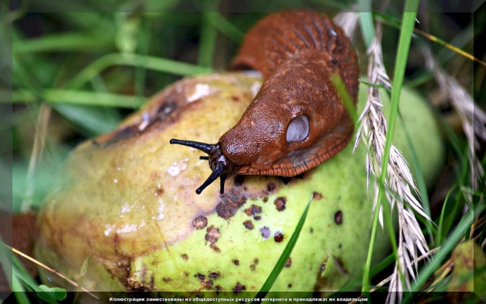 ����������� ������� ������ �� �������� � ������� �����