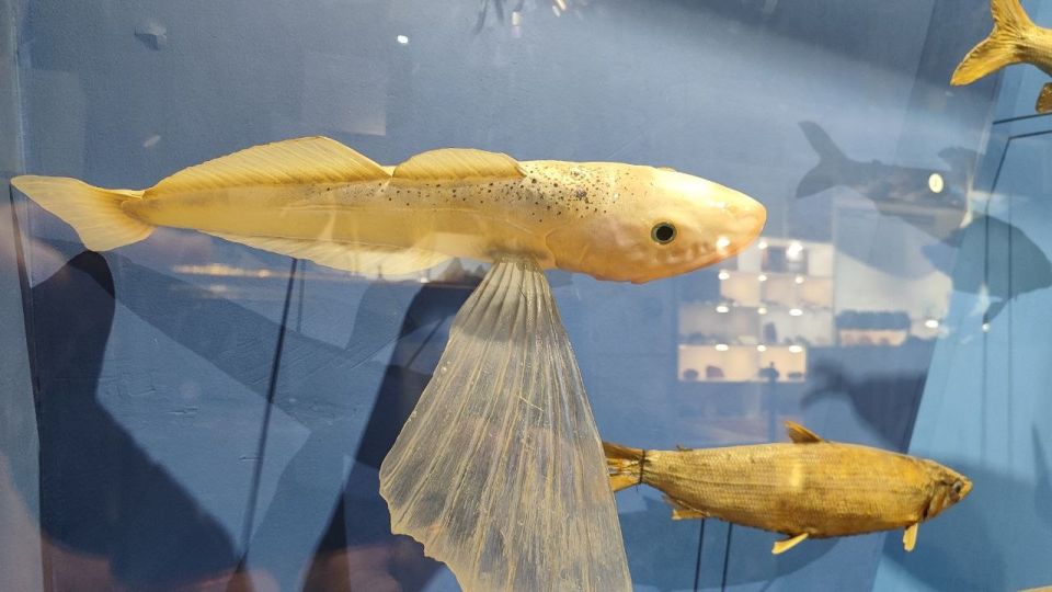 ��������� � ���� �� ����� ������������ �������� �������