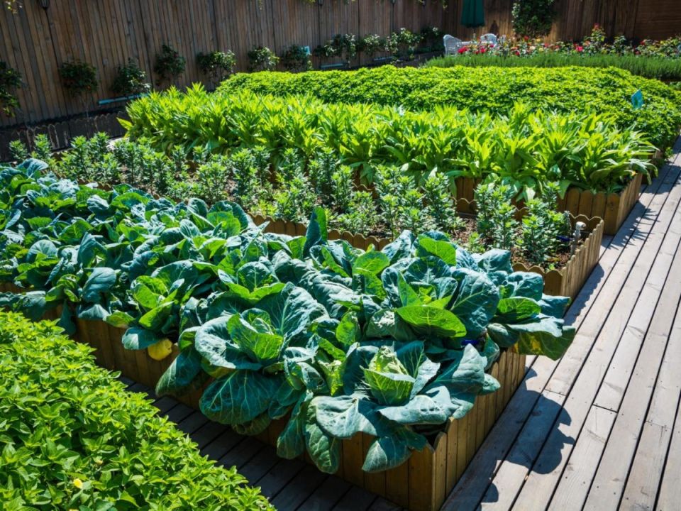 ��� ��������� ������: ������� ������ �������� ���� ��� ��� �����