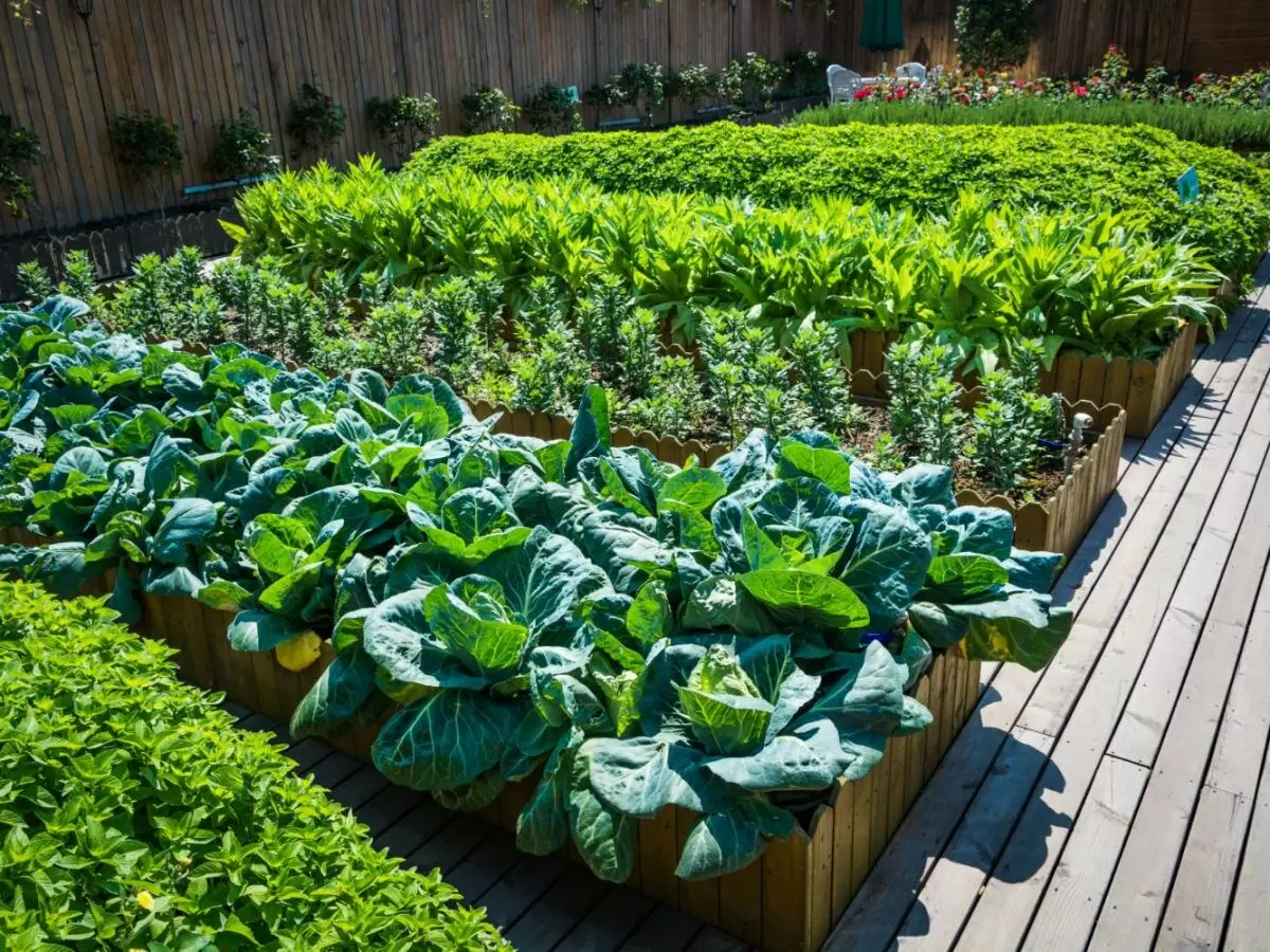 Как приручить улиток: простой способ защитить свой сад без химии