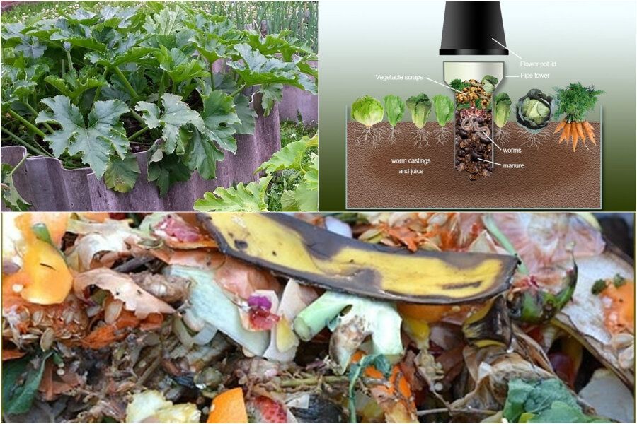 ��������� �����: ����� ������ �� ��������� ��������