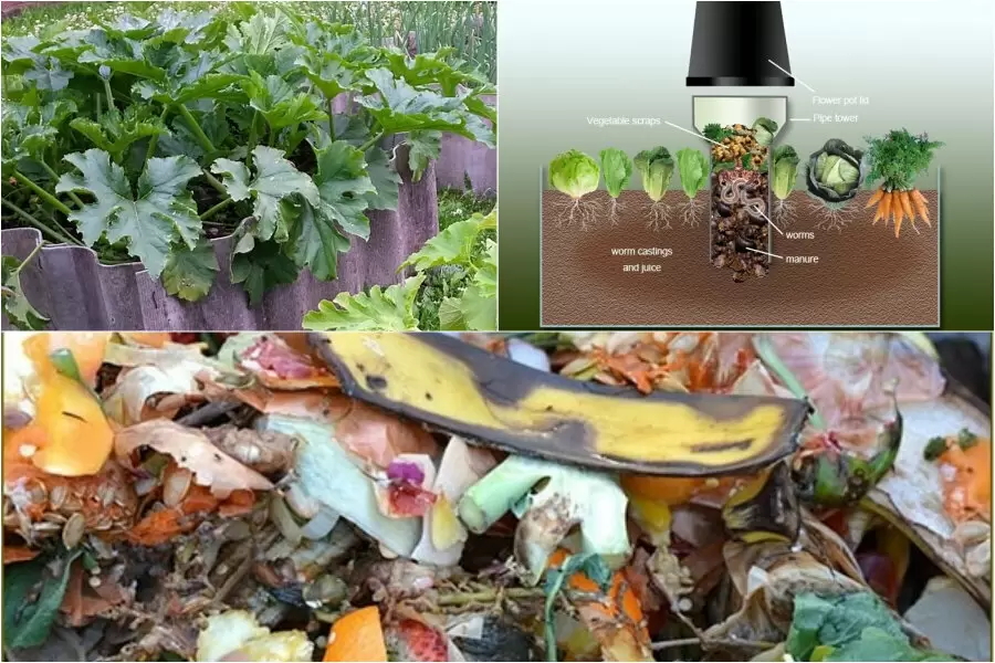 Червячный домик: новый взгляд на подкормку растений