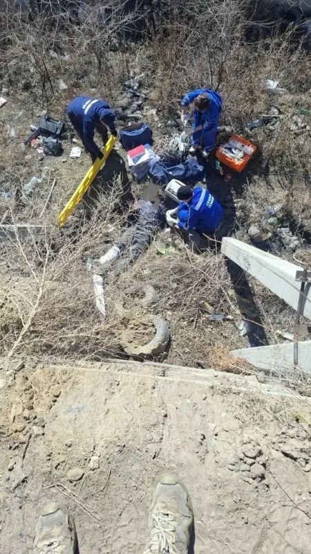 ������ ������� ������ ����������� ����� ������� � ������ � ����-���