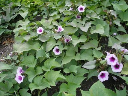 ����� � ������: ���������� ����������� � �����