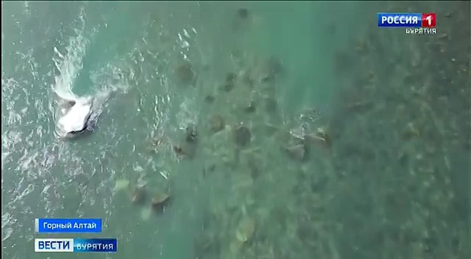 ������� � ������ ����� ����� �����