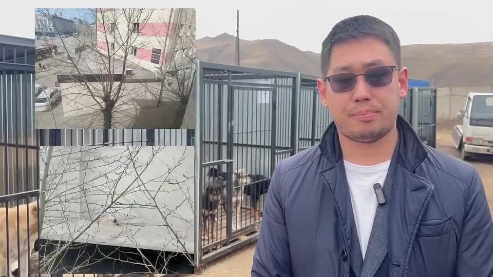 ������ ��������� ��� ��� �� ����� ���������