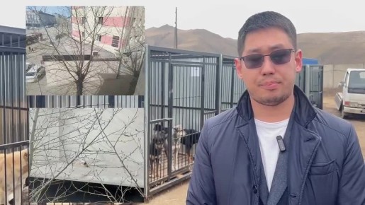 ������ ��������� ��� ��� �� ����� ���������