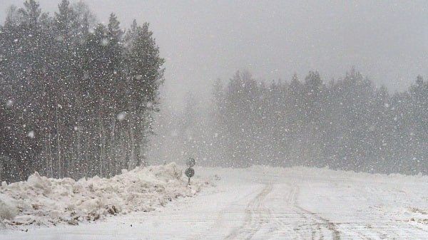 ������� ������� ������� ��������� �����