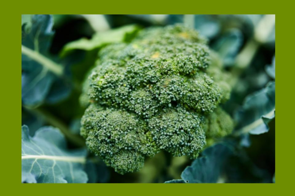 ��������: ��� ��������������� �������