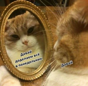 Доброе утро! Сегодня у нас пятничное настроение)