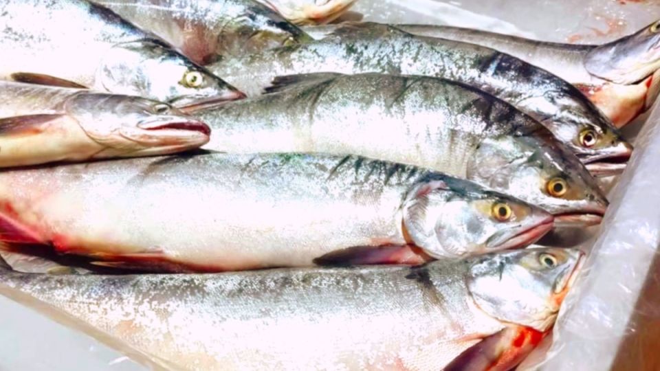 ��� ������� ������ �������: ������, ������� ����� �������������� �� �����