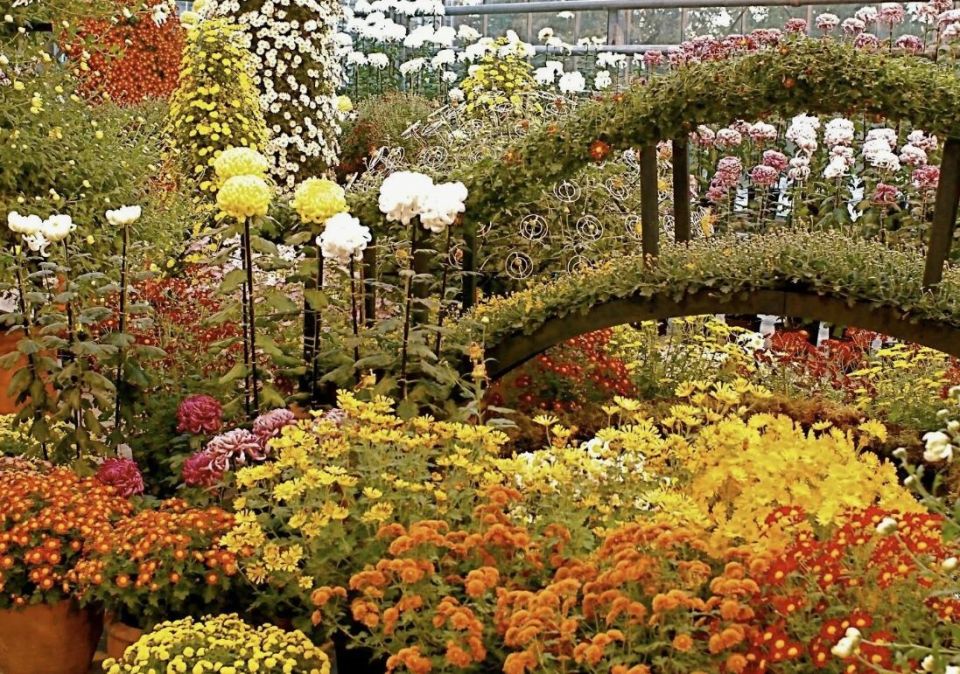 ��� ������� ����� ������, ������� ����� �������� �� ����� ����