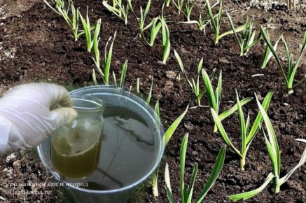 �������� ������� ��� ��������� ������ �������