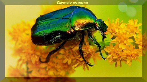 ��������� � ��������: ����� ��������� �������?