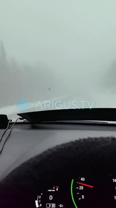 ��� �����: �����. �������� ����� � ������ ���������