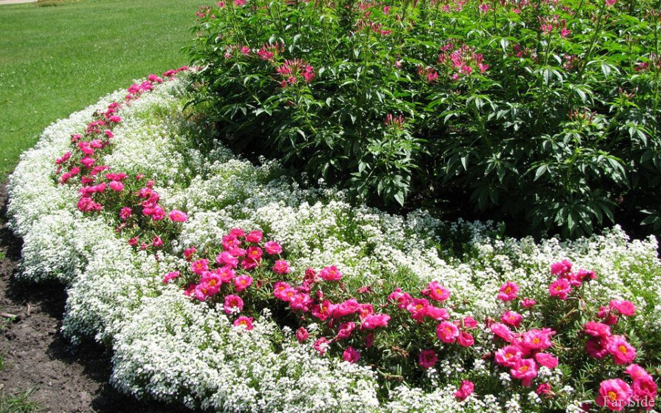 ����� ��� ������ � �����: ��� ������ ����������� ����