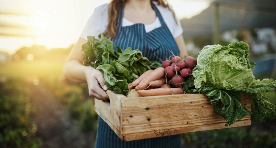 ������ ����: ��� �������� ����� �� ������ ������ � ����